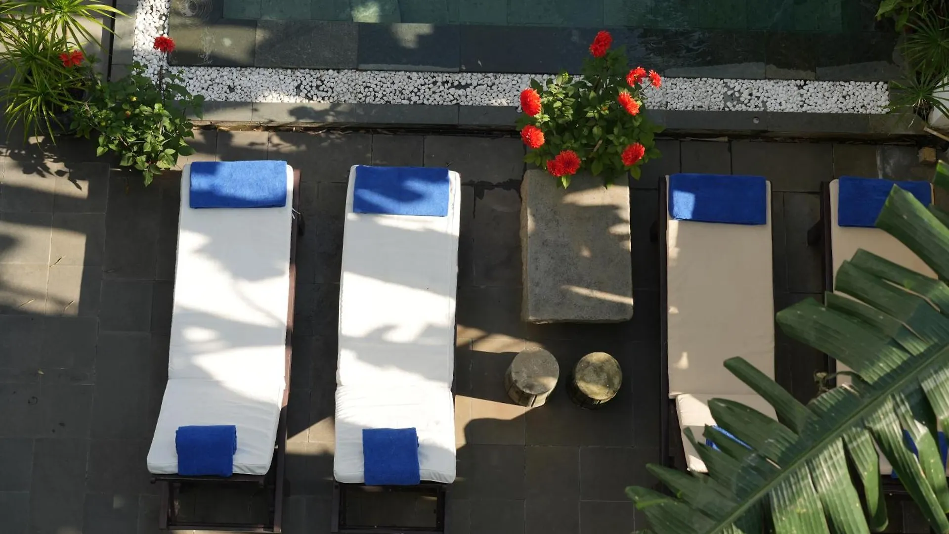 Hotel Tranquil Lucky Leaf Villa Hoi An